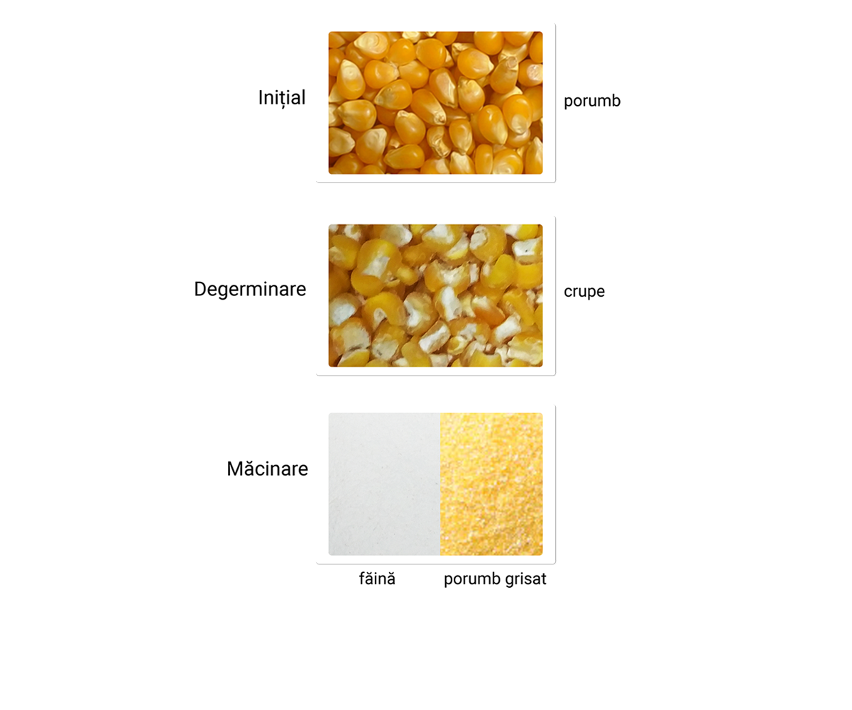 Rezultate Degerminator