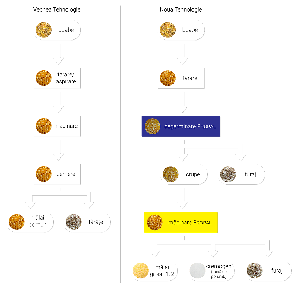 Tehnologie Degerminator Vechi Nou